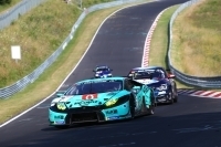 Pechstr&auml;hne geht weiter